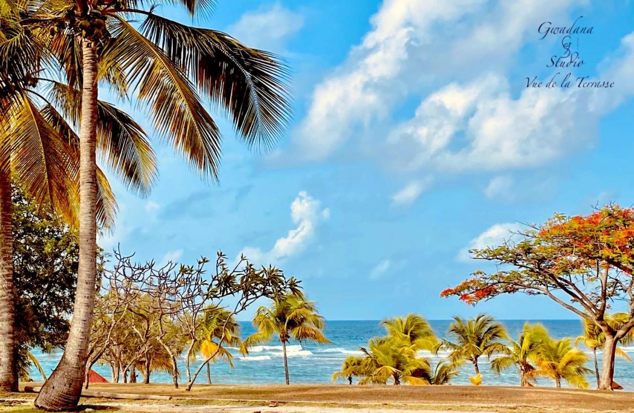 Acces Direct Plage, Vue Mer D'Exception, Les Gwada Studios, Village Vacances Sainte-Anne  Exterior foto