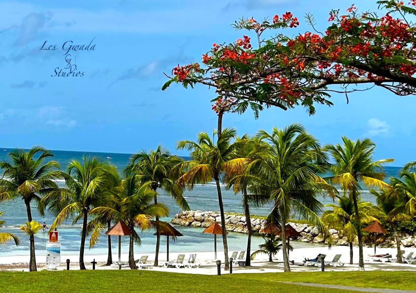 Acces Direct Plage, Vue Mer D'Exception, Les Gwada Studios, Village Vacances Sainte-Anne  Exterior foto